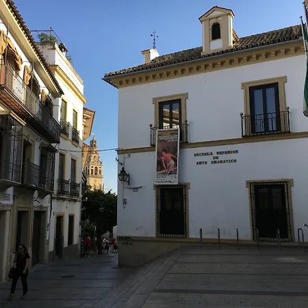 El Laurel De La Juderia
